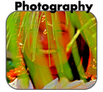 Photography Services